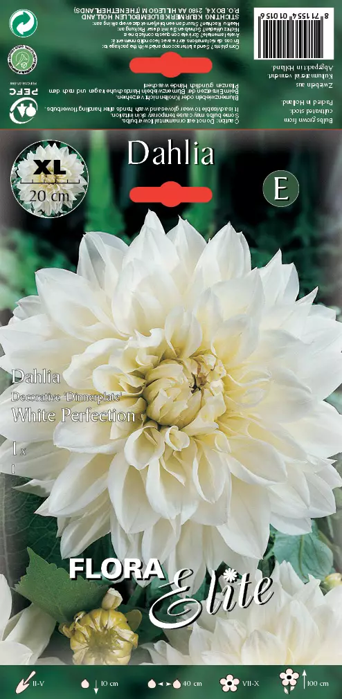 Daalia White Perfection 1 kpl/pkt - Daaliat - 8711554010156 - 1