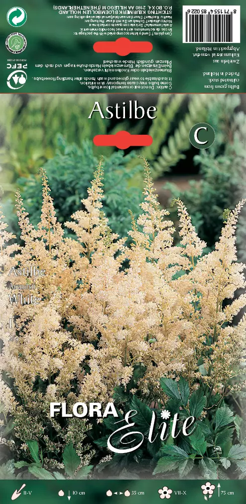 Tarhajaloangervo White 1 kpl/pkt - Perennajuurakot - 8711554850226 - 1