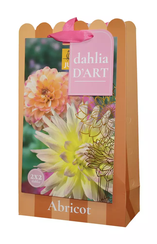 Daalia Abricot 4 kpl/pkt - Daaliat - 8720873001516 - 1