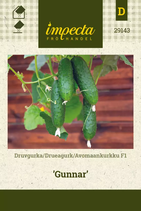 Avomaankurkku F1 Gunnar - Vihannesten ja yrttien siemenet - 7332756291436 - 0