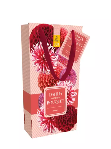 Daalia Sunset 4 kpl/pkt - Daaliat - 8712438991516 - 1