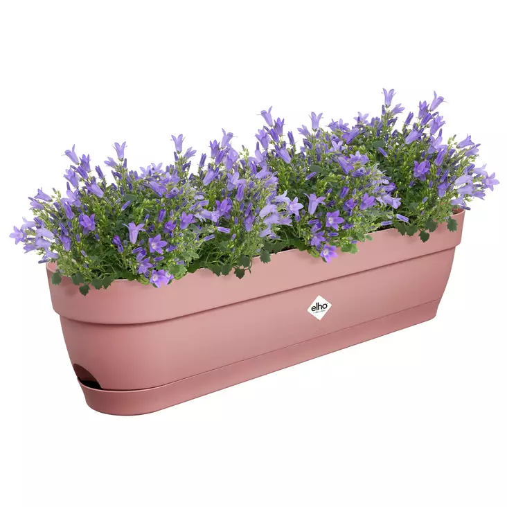 Elho Parvekelaatikko Vibia Campana 50 cm - Ruukut ja korit - 8711904521776 - 1