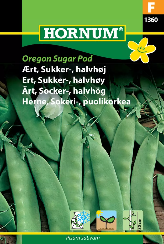 Herne, Sokeri-, puolikorkea Oregon Sugar - Vihannesten ja yrttien siemenet - 5708787013606 - 0