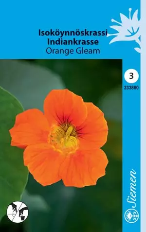 Isoköynnöskrassi Orange Gleam - Kukkien ja koristeheinien siemenet - 6415152338606 - 1