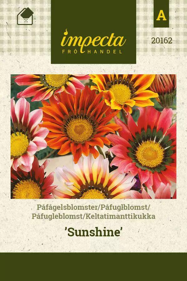 Keltatimanttikukka Sunshine - Kukkien ja koristeheinien siemenet - 7332756201626 - 0