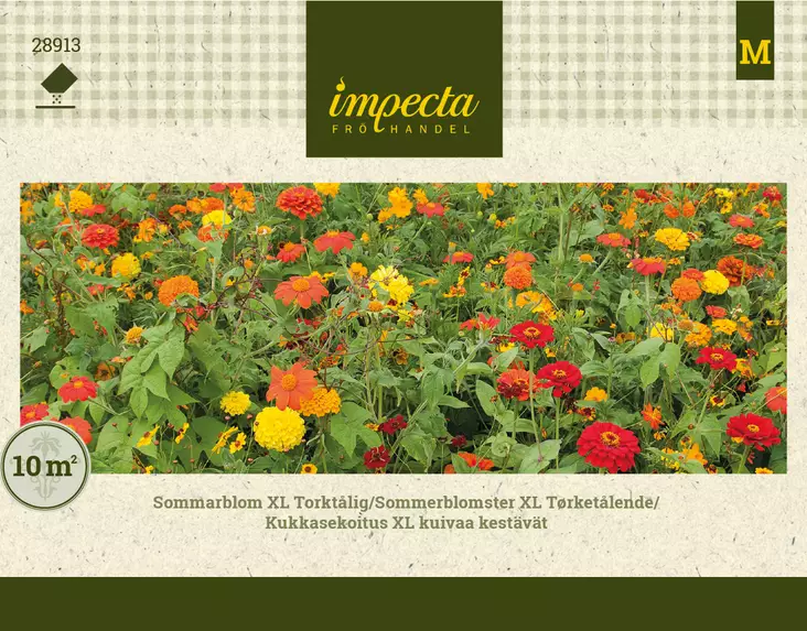 Kesäkukka XL kuivuutta kestävä - Kukkien ja koristeheinien siemenet - 7332756289136 - 1