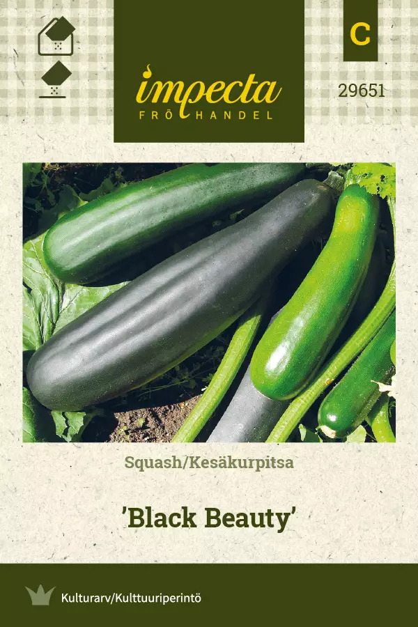 Kesäkurpitsa Black Beauty - Vihannesten ja yrttien siemenet - 7332756296516 - 0