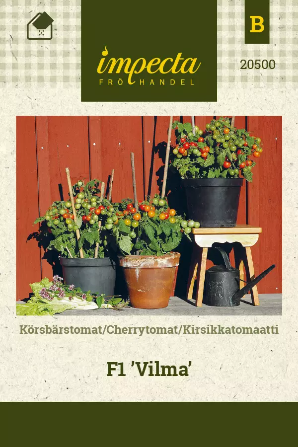 Kirsikkatomaatti Vima - Vihannesten ja yrttien siemenet - 7332756205006 - 0