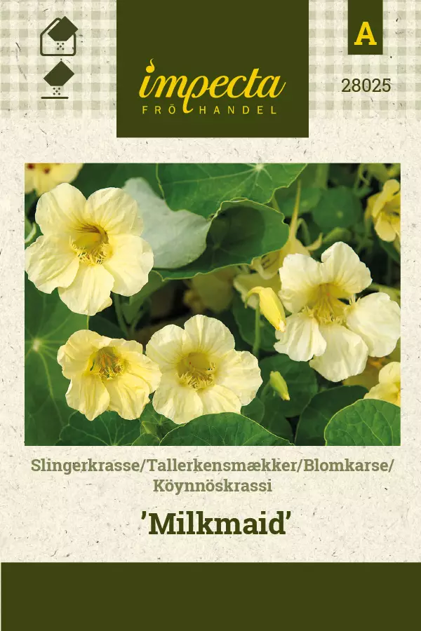 Köynnöskrassi Milkmaid - Kukkien ja koristeheinien siemenet - 7332756280256 - 1