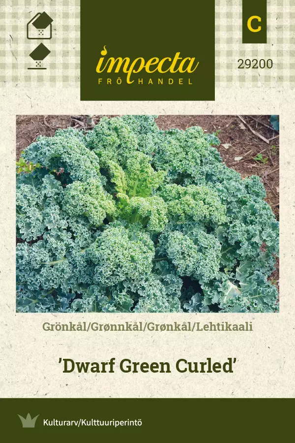 Lehtikaali Dwarf Green Curled - Vihannesten ja yrttien siemenet - 7332756292006 - 0