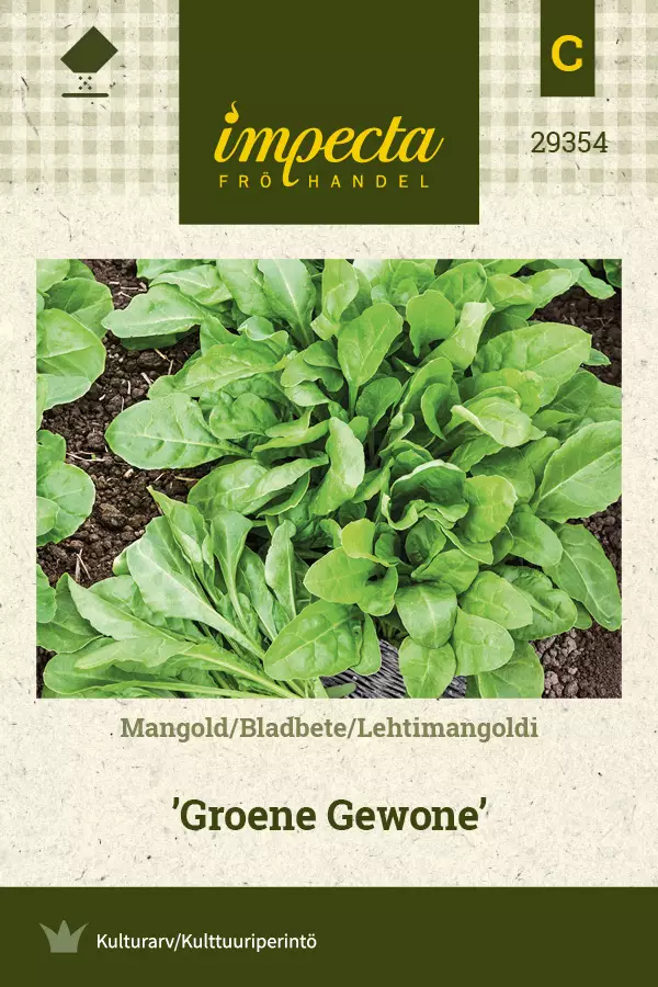 Lehtimangoldi Groene Gewone - Vihannesten ja yrttien siemenet - 7332756293546 - 0