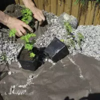 Maisemointikangas 8 m2 (1,6 x 5 m) - Puutarhakankaat - 6430040621516 - 2