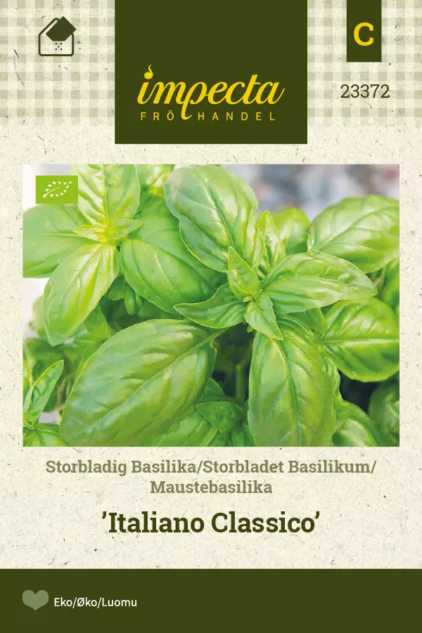 Maustebasilika Italiano Classico - Vihannesten ja yrttien siemenet - 7332756233726 - 0