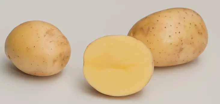 Peruna Gala 3 kg - Siemenet ja sipulit - 6417486005186 - 1