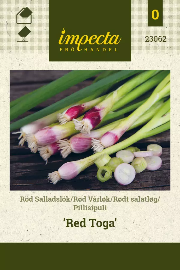 Pillisipuli Red Toga - Vihannesten ja yrttien siemenet - 7332756230626 - 0