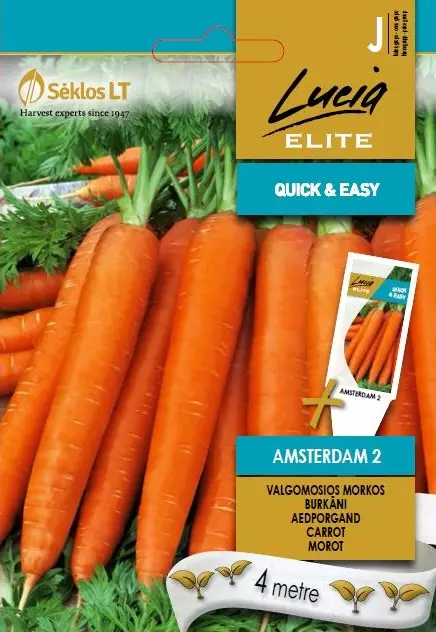 PORKKANA ELITE AMSTERDAM 2 - Vihannesten ja yrttien siemenet - 4770168124196 - 0