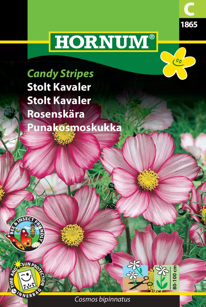 Punakosmoskukka Candy Stripes - Kukkien ja koristeheinien siemenet - 5708787018656 - 0