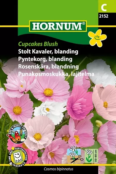 Punakosmoskukka, lajitelma Cupcaces Blus - Kukkien ja koristeheinien siemenet - 5708787021526 - 1