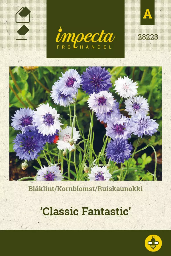 Ruiskaunokki Classic Fantastic - Kukkien ja koristeheinien siemenet - 7332756282236 - 1