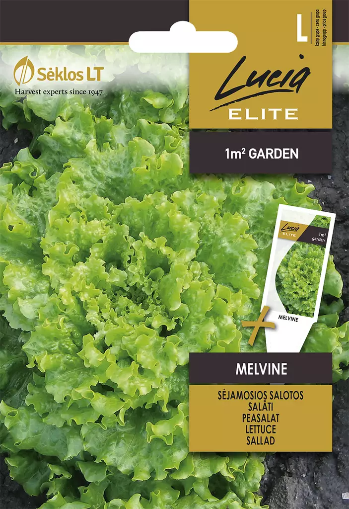 SALAATTI ELITE MELVINE - Vihannesten ja yrttien siemenet - 4770168142336 - 0