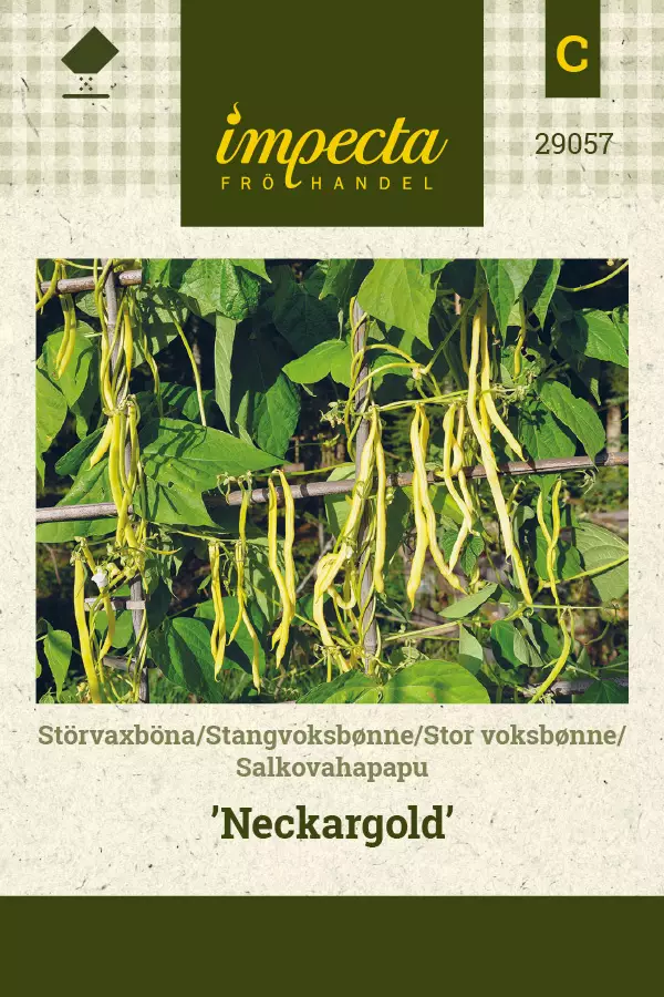 Salkovahapapu Neckargold - Vihannesten ja yrttien siemenet - 7332756290576 - 0