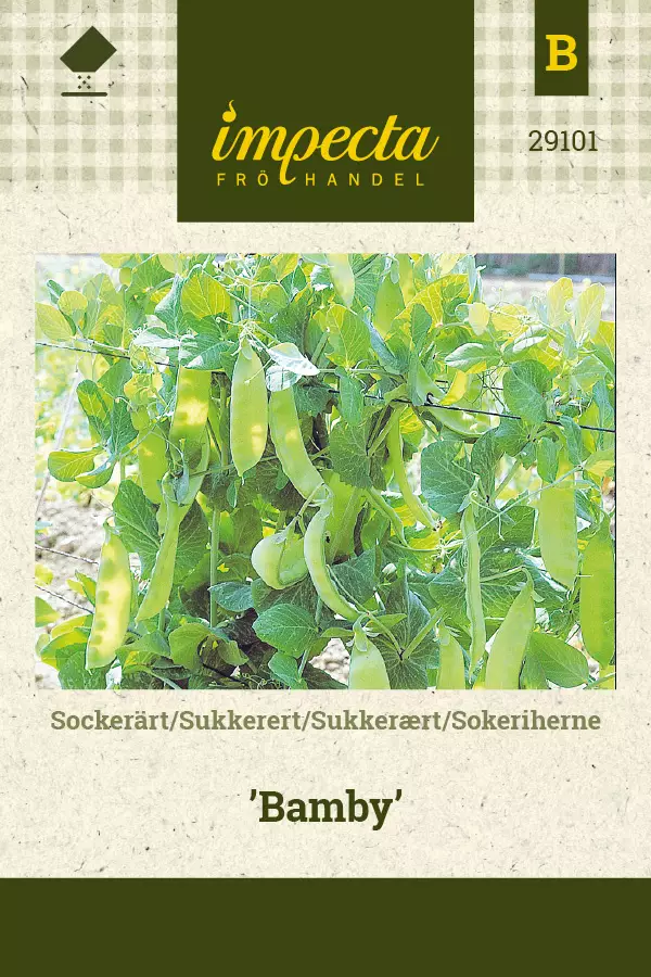 Sokeriherne Bamby - Vihannesten ja yrttien siemenet - 7332756291016 - 0