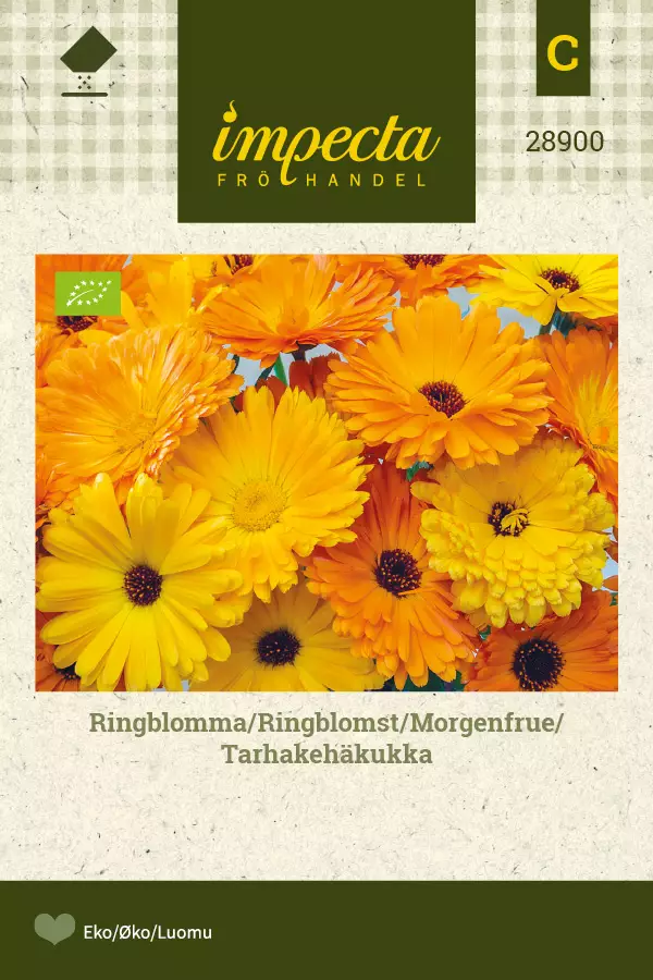 Tarhakehäkukka - Kukkien ja koristeheinien siemenet - 7332756289006 - 0