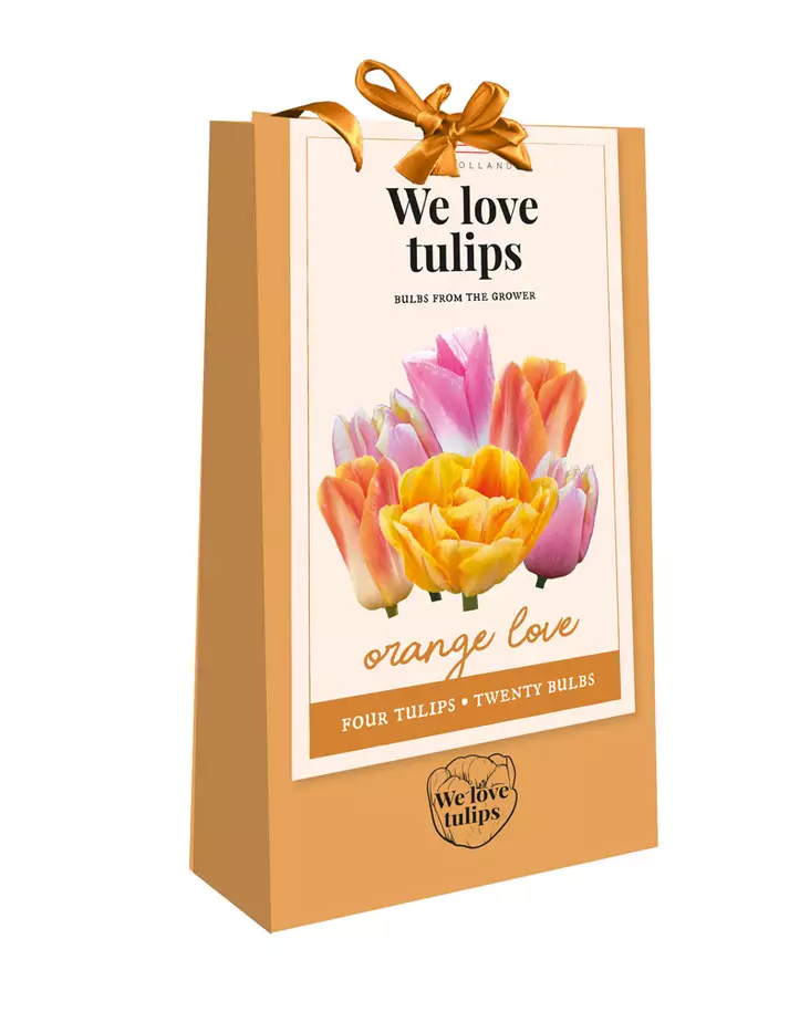 Tulppaanikassi Orange Love 20kpl/pkt - Muut kukkasipulit - 8712438754166 - 1