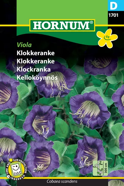 Kelloköynnös Viola - Kukkien ja koristeheinien siemenet - 5708787017017 - 0