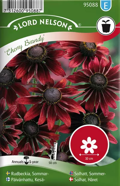 Päivänhattu, Kesä-, Cherry Brandy - Kukkien ja koristeheinien siemenet - 7312600950887 - 1