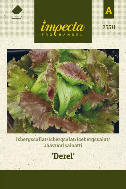 Jäävuorisalaatti Derel - Vihannesten ja yrttien siemenet - 7332756255117 - 0