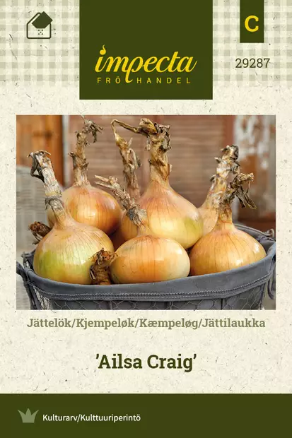 Jättilaukka Ailsa Craig - Kukkien ja koristeheinien siemenet - 7332756292877 - 0