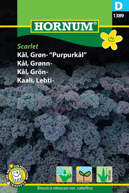 Kaali, Lehti- Scarlet - Vihannesten ja yrttien siemenet - 5708787013897 - 0