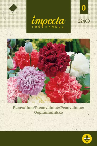 Oopiumiunikko - Kukkien ja koristeheinien siemenet - 7332756224007 - 0