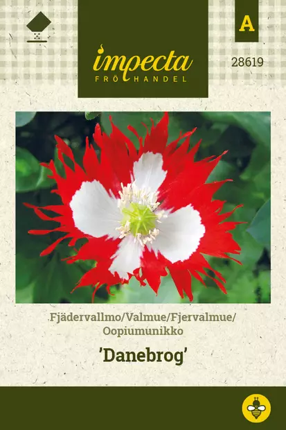 Oopiumunikko Danebrog - Kukkien ja koristeheinien siemenet - 7332756286197 - 0