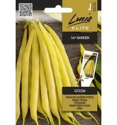 Pensaspapu Elite Dwarf Golda - Vihannesten ja yrttien siemenet - 4770168928657 - 1