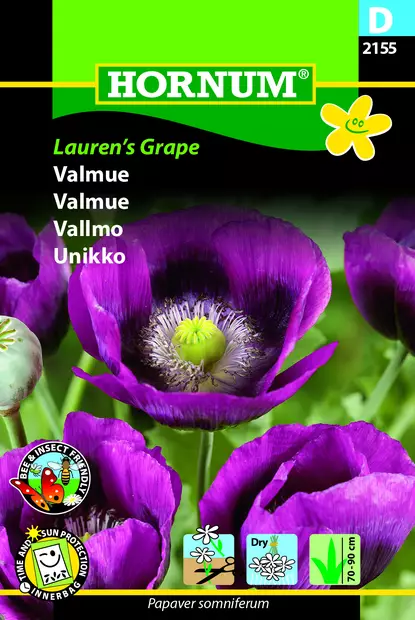 Unikko Lauren´s Grape - Kukkien ja koristeheinien siemenet - 5708787021557 - 3