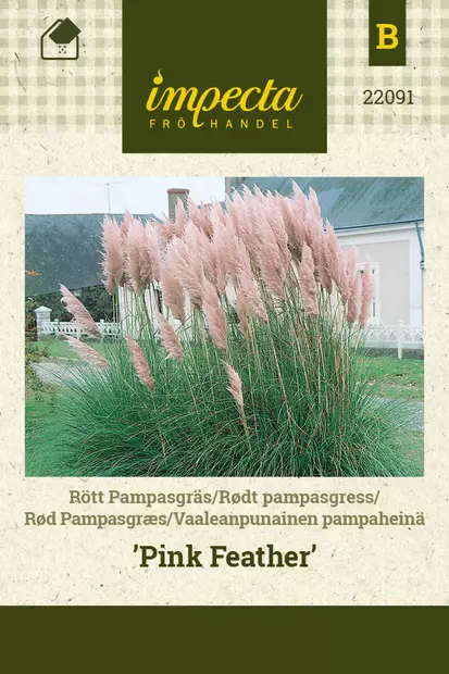 Vaaleanpunainen pampaheinä Pink Feather - Kukkien ja koristeheinien siemenet - 7332756220917 - 0