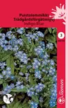 Alppilemmikki Indigo Blue - Kukkien ja koristeheinien siemenet - 6415152081007 - 1