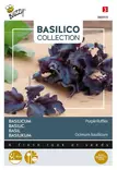 Buzzy Basilico basilika Purple Ruffles - Kukkien ja koristeheinien siemenet - 8711117809197 - 1