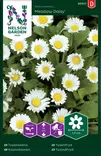 Kaunokainen, Meadow Daisy - Kukkien ja koristeheinien siemenet - 7312600957077 - 0