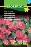 Krassi, Pensasköynnös- Cherry Rose - Kukkien ja koristeheinien siemenet - 5708787017987 - 0