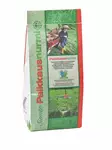 Paikkausnurmi 0,5 kg - Nurmikon siemenet - 6415152804057 - 1