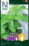 Stevia - Vihannesten ja yrttien siemenet - 7312600915107 - 0