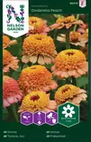 Tsinnia, Iso-, Zinderella Peach - Kukkien ja koristeheinien siemenet - 7312600960107 - 2