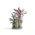 Ecopots Ruukku Dubai setti 56,6 cm - Ecopots ruukut ja lautaset - 5413724329657 - 2