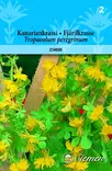 Kanariankrassi annos - Kukkien ja koristeheinien siemenet - 6415152346007 - 1