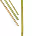 Kukkakeppi Bambu 100 cm 10 kpl/pkt - Kasvien kiinnitys ja tuenta - 7312600059207 - 1