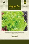 Lehtisalaatti Rekord - Vihannesten ja yrttien siemenet - 7332756297407 - 0