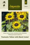 Pikkuauringonkukka F1 Suntastic Yellow - Kukkien ja koristeheinien siemenet - 7332756284117 - 1